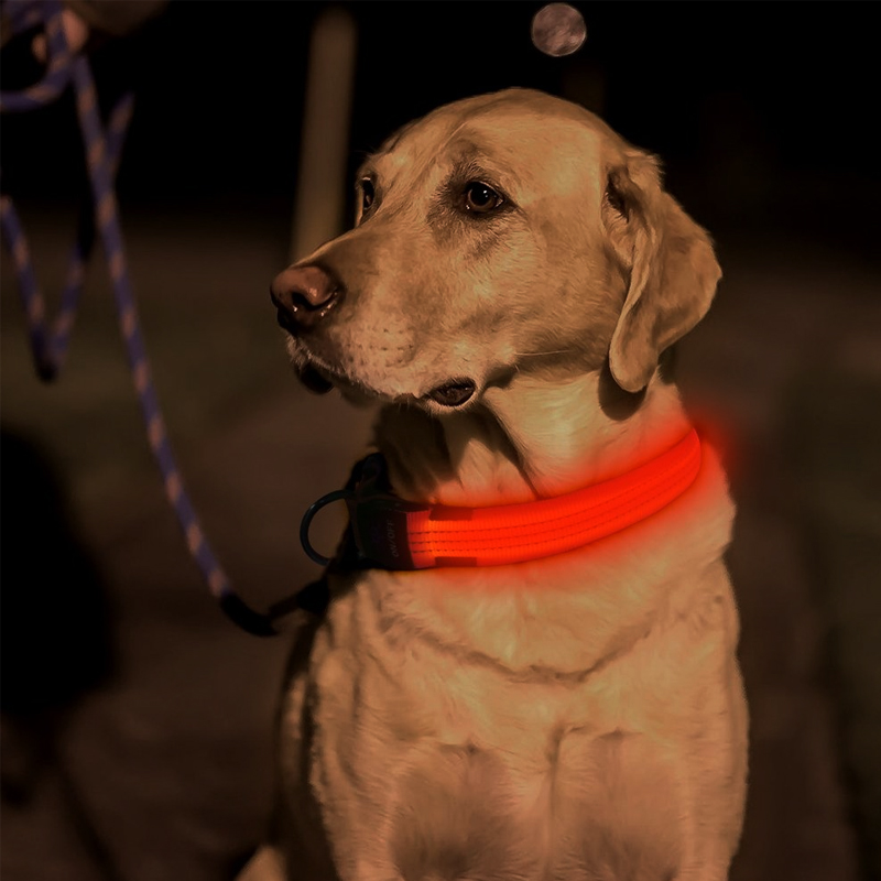 4id dog collar